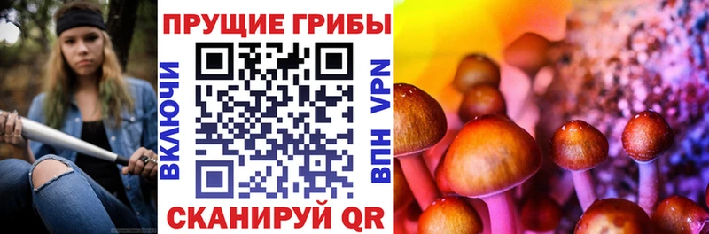 Галлюциногенные грибы MAGIC MUSHROOMS  Буинск 